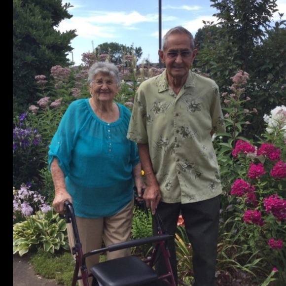 Distressed Jeans  Dark Classic Straight Hollister  26 X 30 - Picture 16 of 16